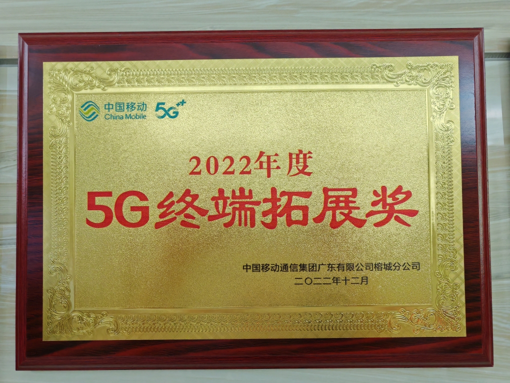 5G终端扩展奖